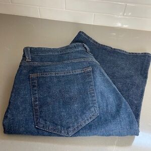 AG Jean Saige Wide Leg Crop - High Rise Fit - Size 30